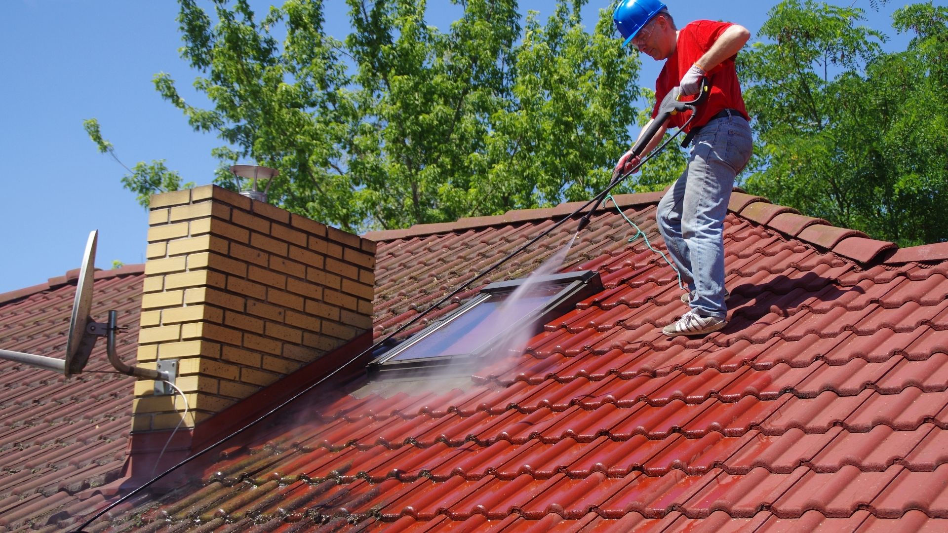 Roof cleaning